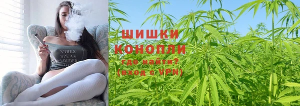 амф Зеленокумск