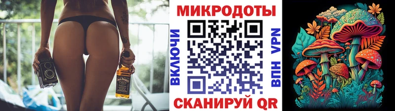 Галлюциногенные грибы Cubensis  сколько стоит  Онега 