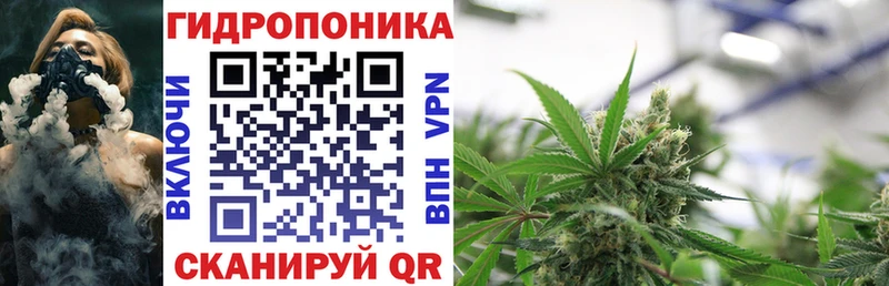 цены наркотик  Онега  Канабис семена 